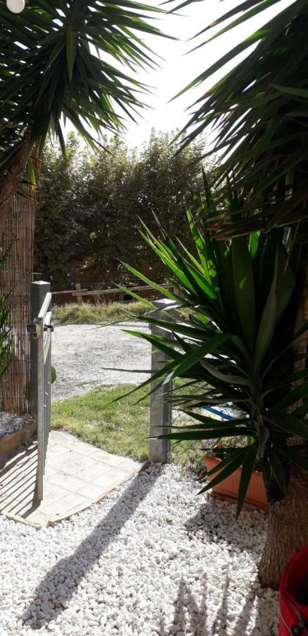 Happy Flat Vila Riparbella Exterior foto